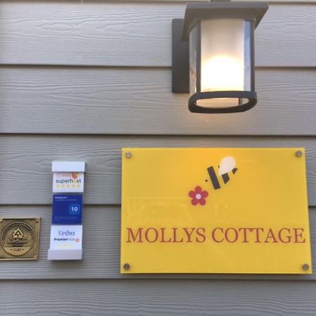 Mollys Cottage-The Suite On Vancouver Island Near Yyj Airport And The Wa And Bc Ferries North Saanich Eksteriør bilde